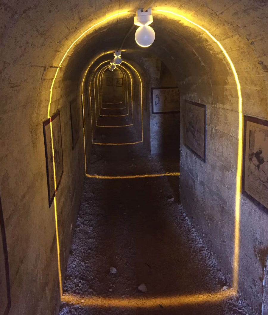 Window Sill Light 360 Degree Track Light 7W | LED Light | SASKA Trading