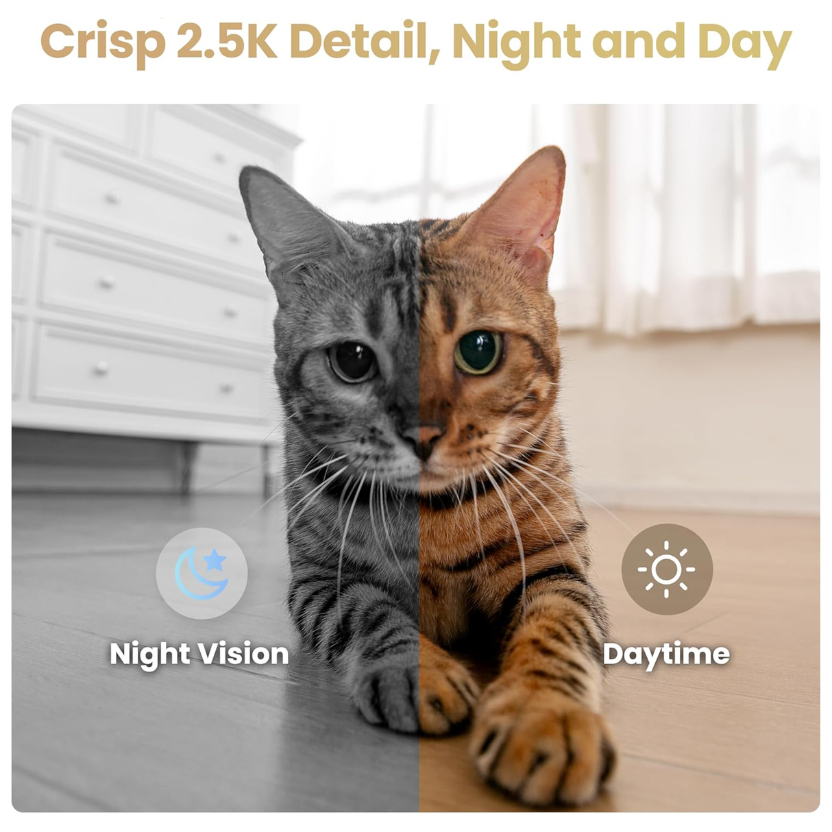 EBO Air 2S FamilyBot – Smart AI Home Companion Robot with Auto Tracking & Interactive Camera by Enabot