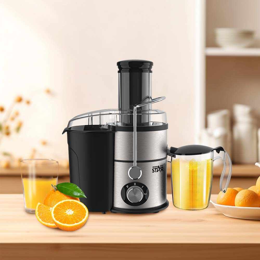 4 in 1 Blender & Juice Extractor – Slow Juicer Multifunctional Machine by Winning Star | Juice Blender | SASKA Trading