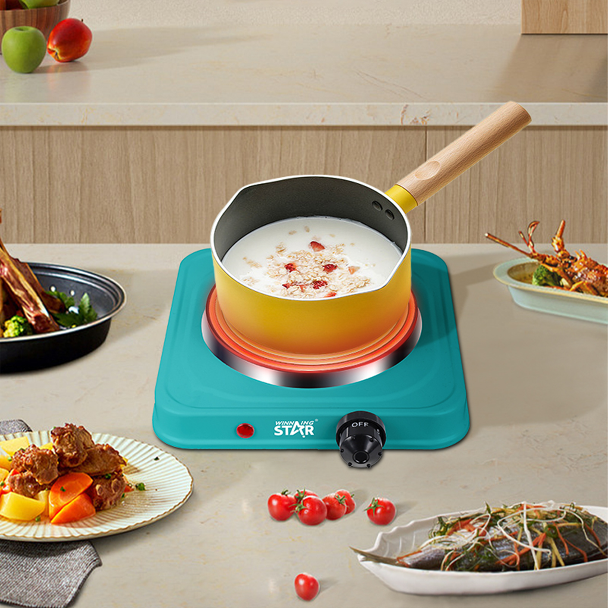 Portable Single Burner Electric Hot Plate 1000W Cast Iron Cooker ST-9635 by Winning Star | Hot Plate | SASKA Trading