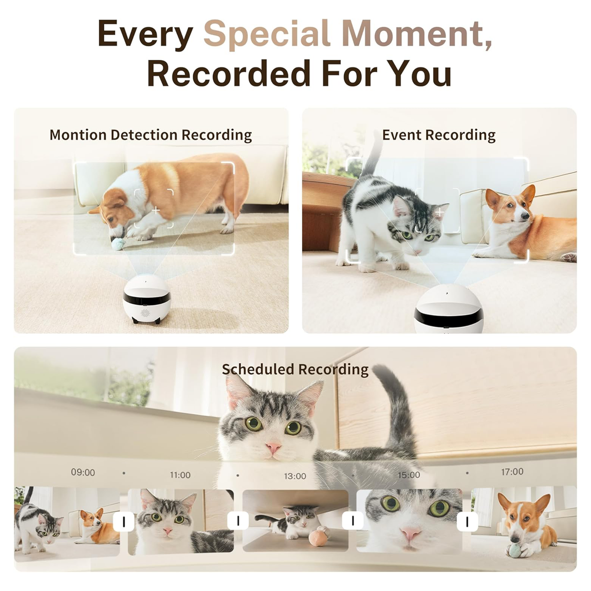 Rola Mini 2K Robot Camera for Pets with Mobile App by ENABOT | AI Robot | SASKA Trading