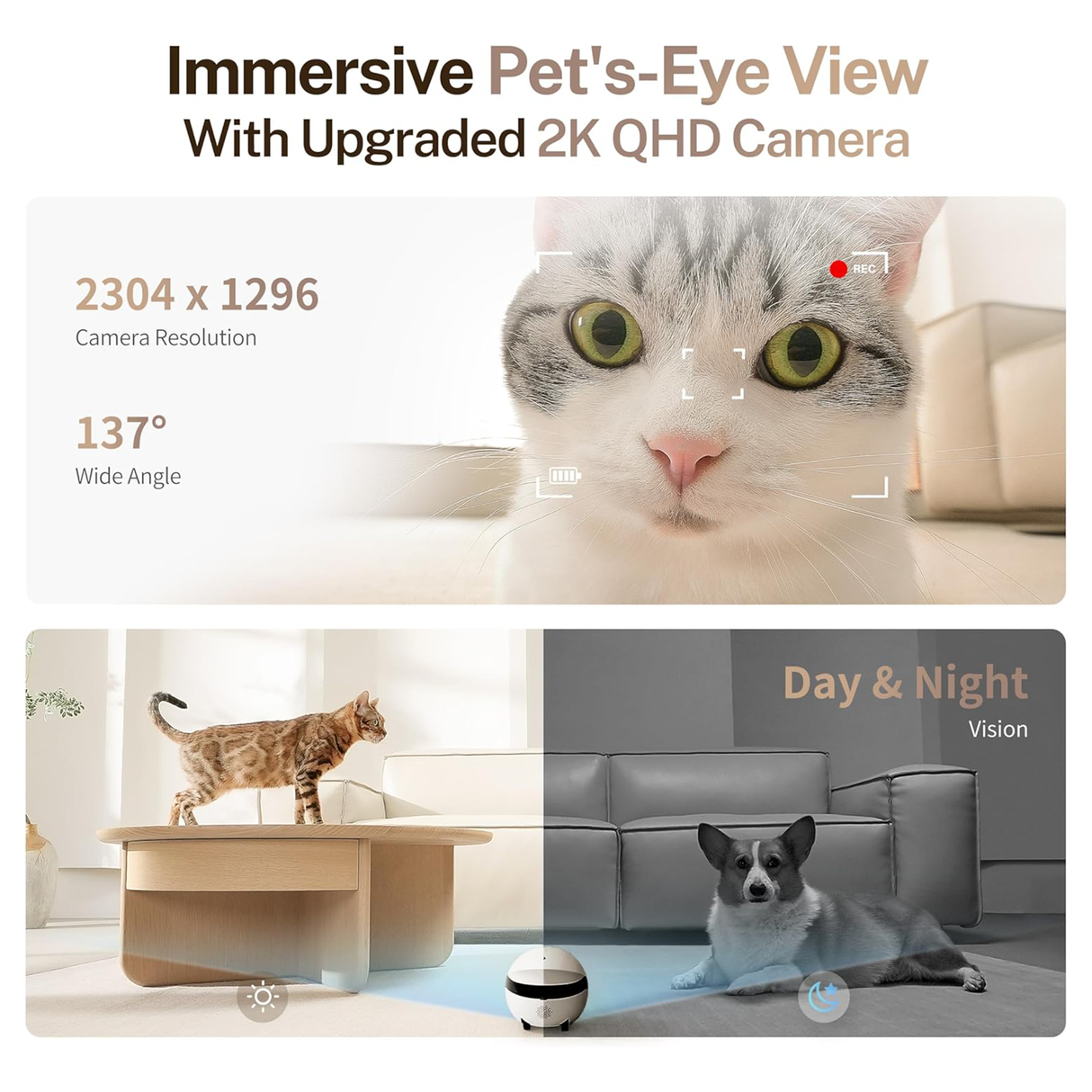 Rola Mini 2K Robot Camera for Pets with Mobile App by ENABOT | AI Robot | SASKA Trading