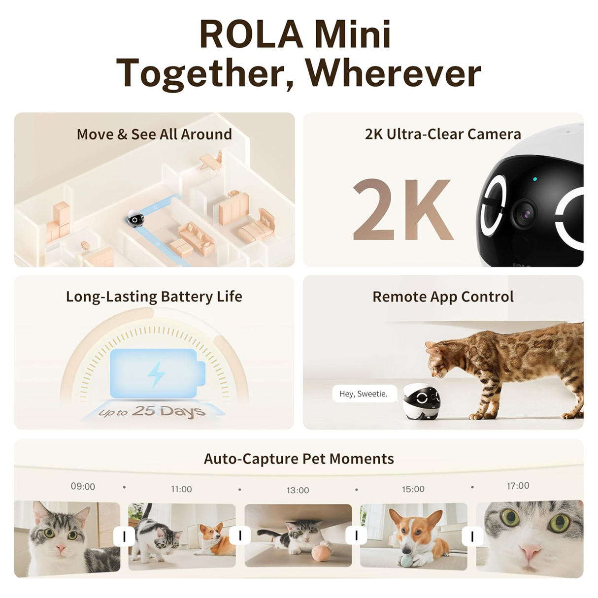 Rola Mini 2K Robot Camera for Pets with Mobile App by ENABOT | AI Robot | SASKA Trading