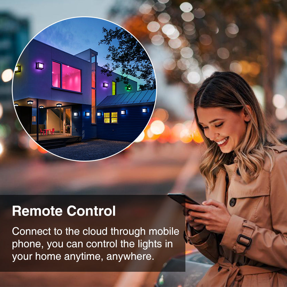 Smart Outdoor Wall Light 13W 1000LM | Smart Light | SASKA Trading