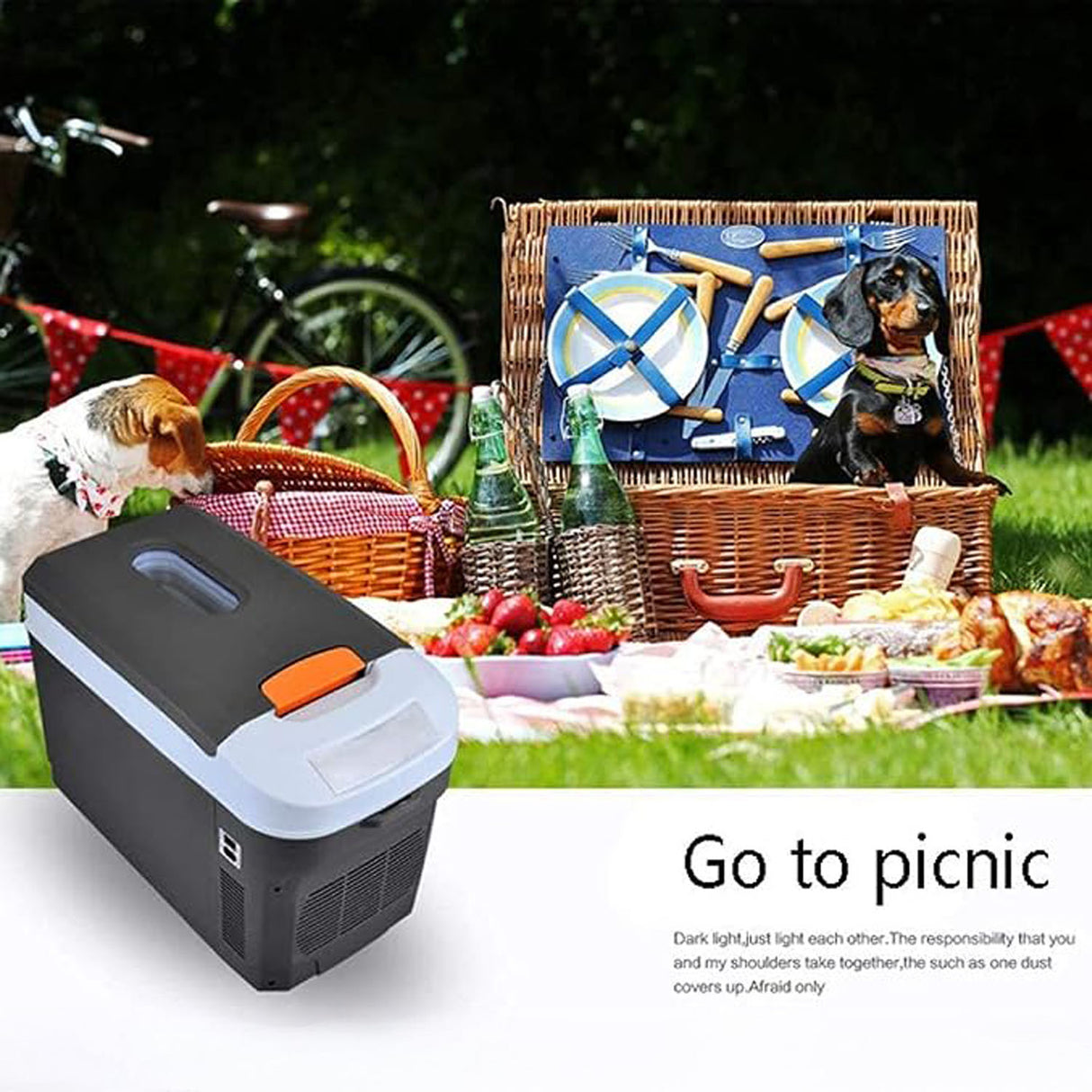 10L Portable Electric Cooler & Warmer Box AC/DC Mini Fridge for Car, Home, Camping & Travel