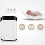 10L Portable Mini Quiet Refrigerator with Thermoelectric Cooler and Warmer for Bedroom, Office, Travel & Skincare