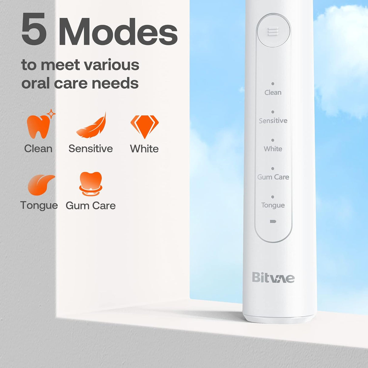 Bitvae R2 Rotating Electric Toothbrush