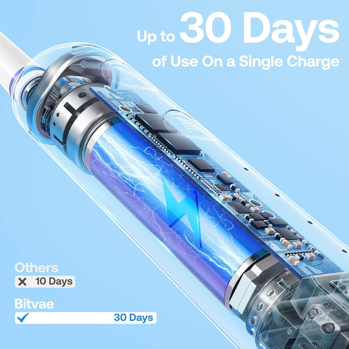 Bitvae R2 Rotating Electric Toothbrush