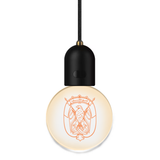 Car LED Ambient Light, abu dhabi - saska - saska.a