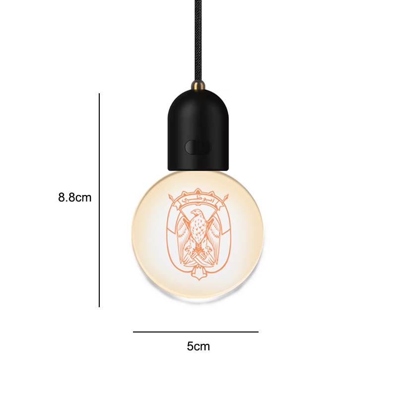 مصباح إضاءة محيطية LED صغير للسيارة قابل للتعليق مع شعار مخصص – ديكور داخلي قابل لإعادة الشحن عبر USB