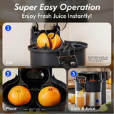 Dual Squeezer Electric Citrus Juicer 380ml with Built in Slicer, 100W Juicer Machine for Oranges, Lemons, Lime by DENX