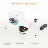 EBO Air 2S FamilyBot – Smart AI Home Companion Robot with Auto Tracking & Interactive Camera by Enabot