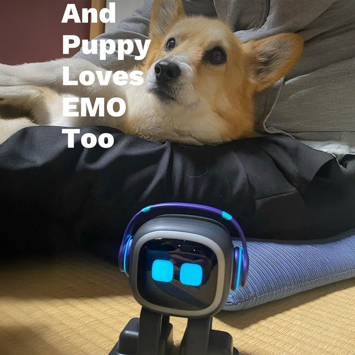 روبوت EMO Skateboard الذكي – رفيق تفاعلي ذكي مع أوامر صوتية وألعاب وتعابير واقعية (بدون المحطة المنزلية) من Living.AI