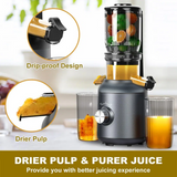 Slow Juicer Pure Copper Motor by GreenLion - SASKA Trading