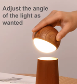 GOOD Voice Activated Sensor Light