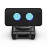 LOOI AI Desktop Companion Robot by TangibleFuture | AI Robot | SASKA Trading