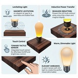 Magnetic Levitating Desk lamp with Floating Bulb and Wireless Power Touch Control