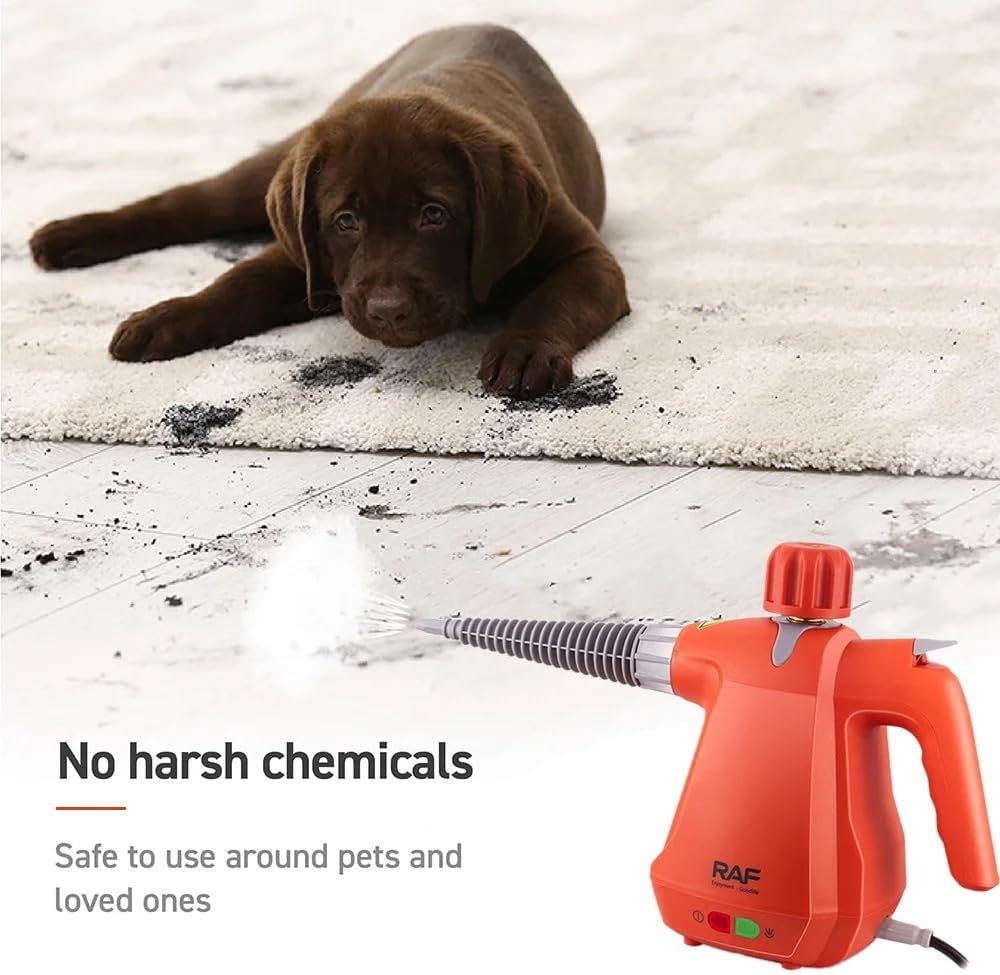 Multi-Purpose Steam Cleaner with Complete Accessory Kit by RAF  Pressure Steam Cleaner SASKA Trading