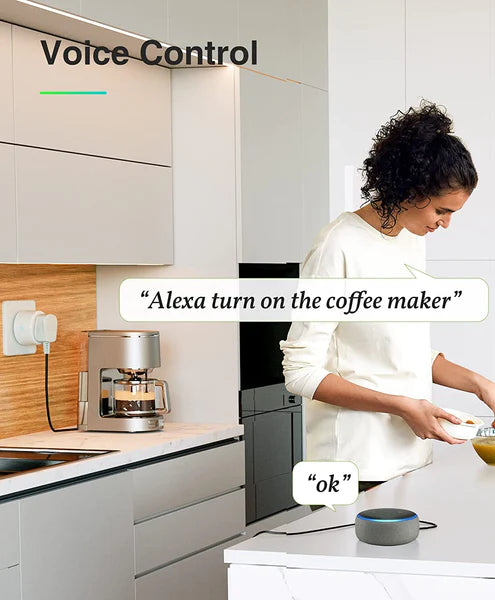 Voice control plug Saska Smart Plug A16 White