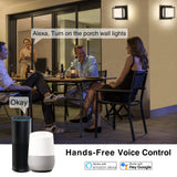 voice control wall light - Smart Outdoor Wall Light 13W 1000LM