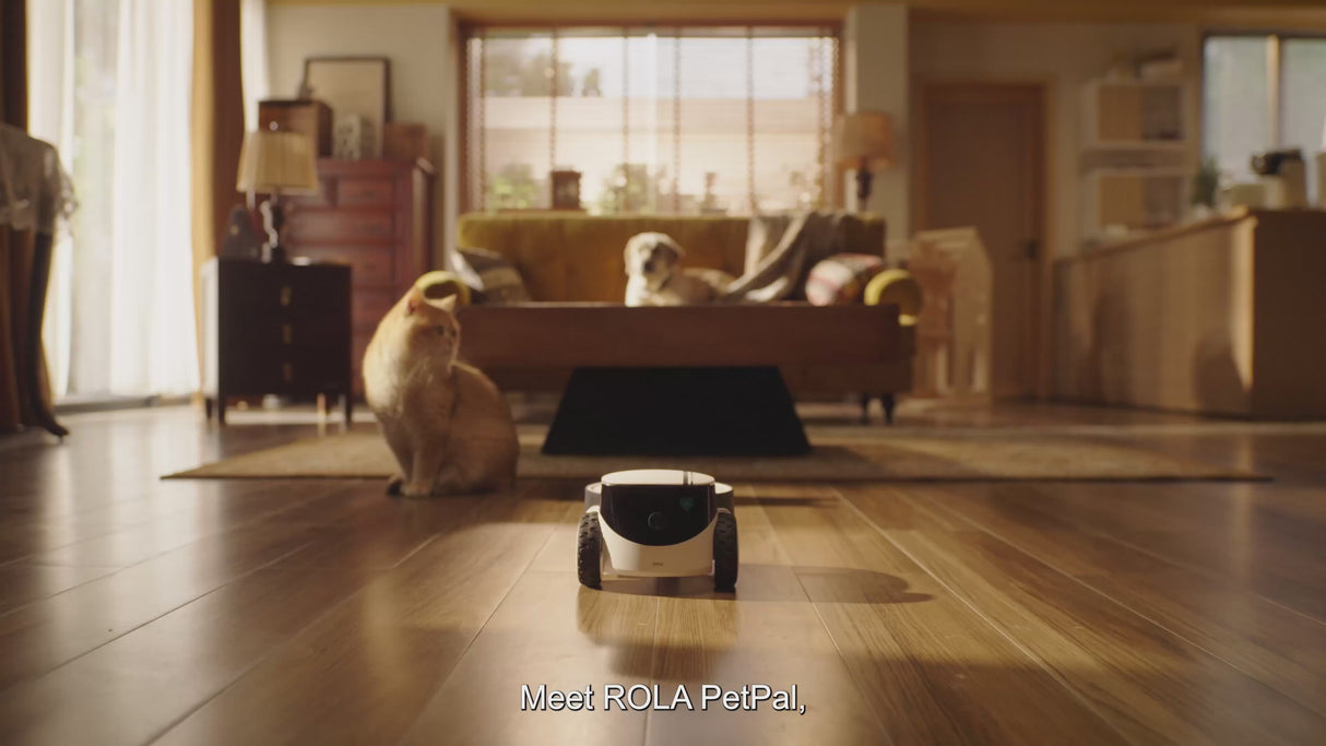 ROLA PetPal Robot Camera – Mobile Indoor Pet Monitoring Robot with HD Live Video, Two-Way Audio & App Control by Enabot