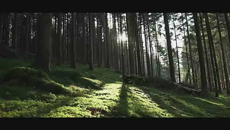 Bedside Desk Lamp with Wireless charger and Speaker (The Dawn)